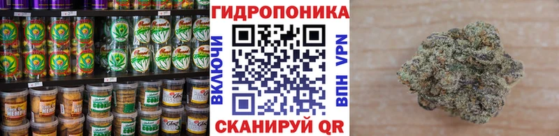 Купить  Окуловка  Canna-Cookies марихуана 
