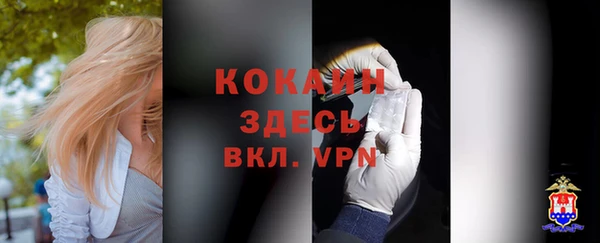 ALPHA PVP Богданович