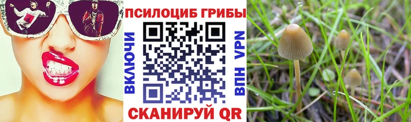 Псилоцибиновые грибы Magic Shrooms  Купить закладки  Окуловка 